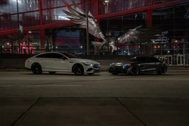 Wild Ccasino Casino Android/iOS App